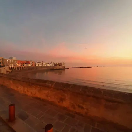 Medusa Casa de hóspedes 3*