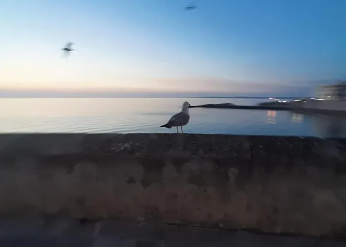 Medusa Guest house Gallipoli