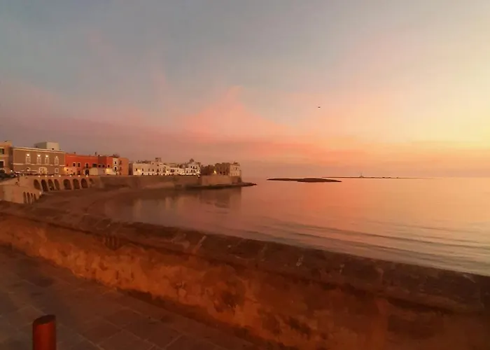 Medusa Casa de hóspedes 3*